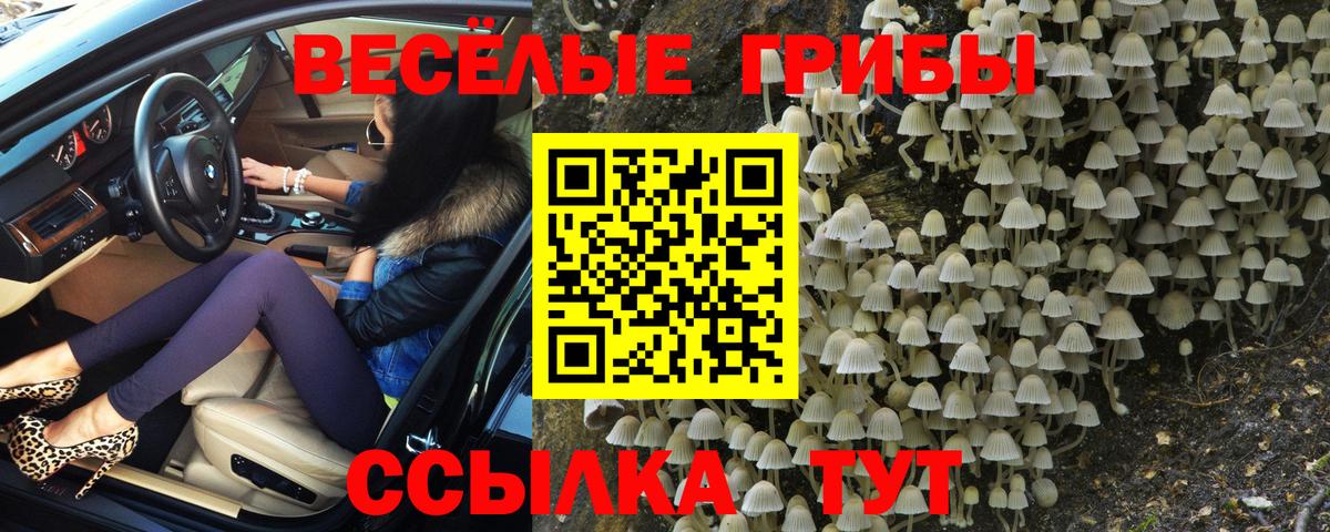 Галлюциногенные грибы Cubensis  Вход с VPN  Подольск 
